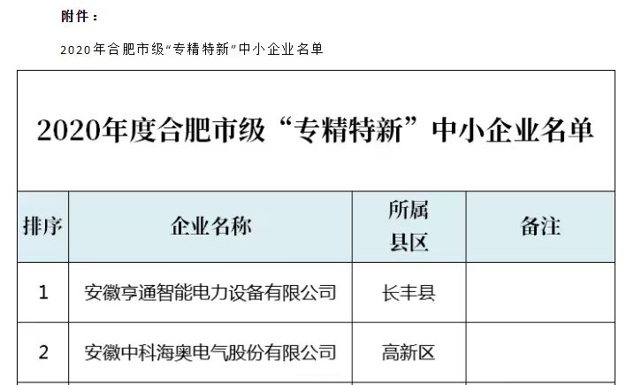 重大喜讯：星空官方注册荣获2020年度合肥市“专精特新”企业称号